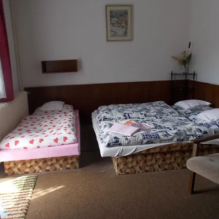 Guest house Vepo Rudnik